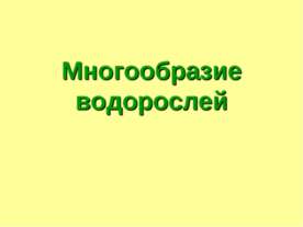 Многообразие водорослей