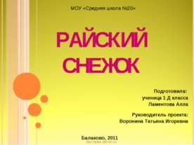 Райский снежок