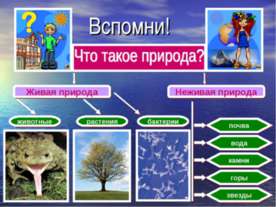 Рукотворная жизнь