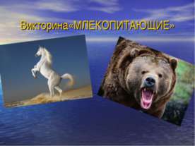 Викторина «МЛЕКОПИТАЮЩИЕ»