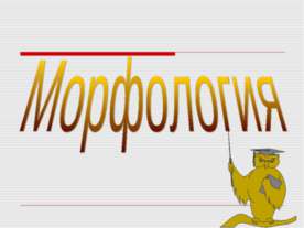 Морфология
