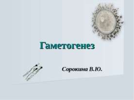 Гаметогенез