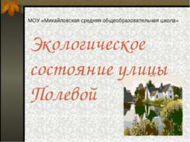 Экологическое состояние улицы Полевой