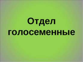 Отдел голосеменные 6 класс