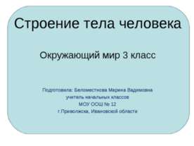 Строение тела человека 3 класс