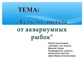 Есть ли польза от аквариумных рыбок