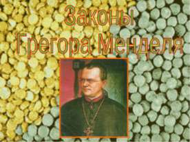 Законы Грегора Менделя