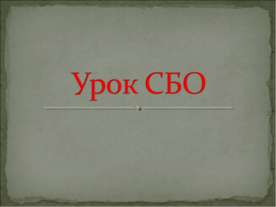 Урок СБО