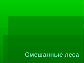 Смешанные леса
