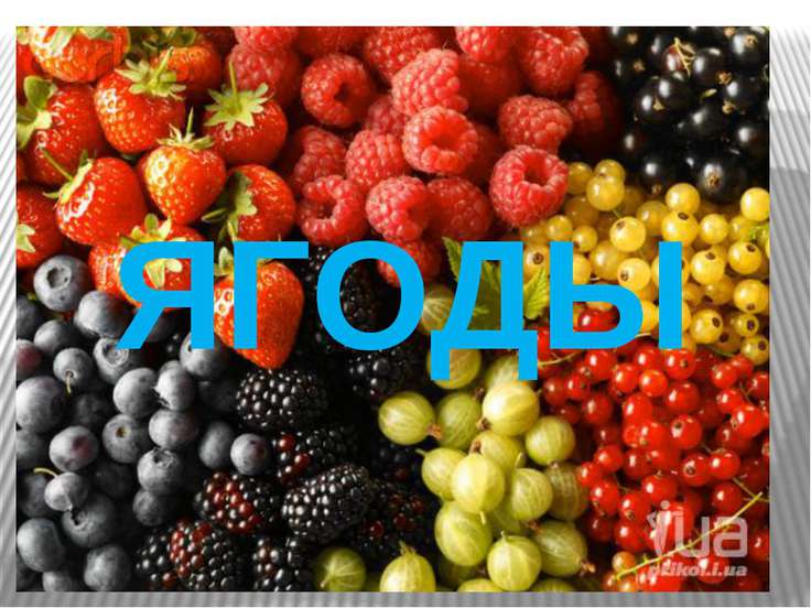 презентация слово и его значение 2 класс