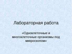 Одноклеточные и многоклеточные организмы под микроскопом