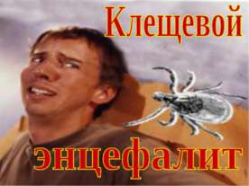 Клещевой энцефалит