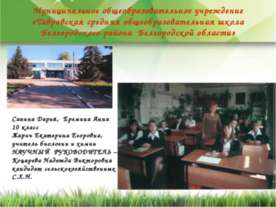 Изучение влияния подкормки на морфологические и декоративные свойства петунии...