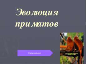 Эволюция приматов