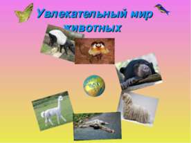 Увлекательный мир животных