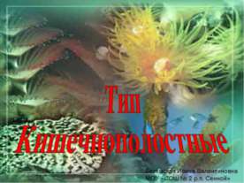 Тип Кишечнополостные