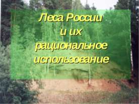 Леса России и их рациональное использование