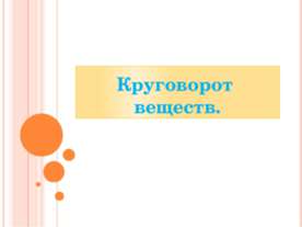 круговорот веществ