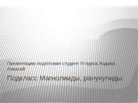 Подкласс Магнолииды, Ранункулиды