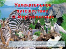 Увлекательное путешествие в мир животных