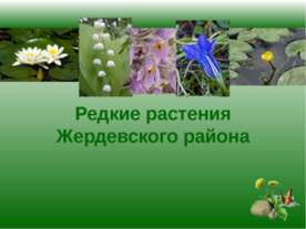 Редкие растения Жердевского района