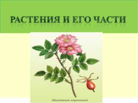 Растения и его части