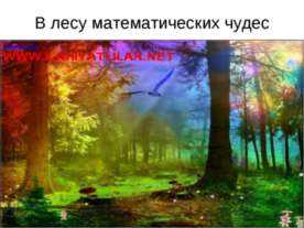 В лесу математических чудес