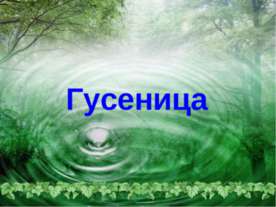 Гусеница