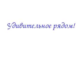 Удивительное рядом
