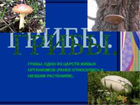 ГРИБЫ 5 класс
