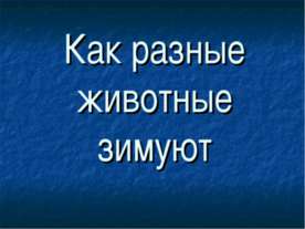 Как разные животные зимуют