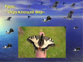 Окружающий мир