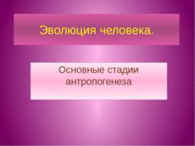 Эволюция человека. Основные стадии антропогенеза