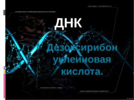 Дезоксирибонуклеиновая кислота