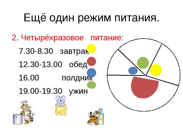 Режим питания презентация по анатомии