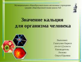 Значение кальция для организма человека