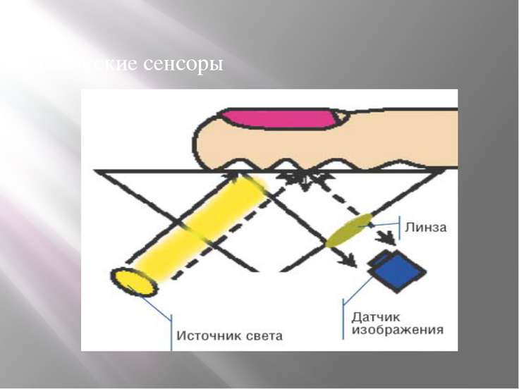 В каком из видов сканеров отпечатков пальцев используется сенсор состоящий из пьезоэлементов