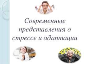 Стресс. Нейрофизиология.