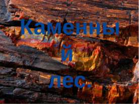 Каменный лес