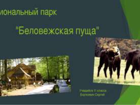 Национальный парк Беловежская пуща