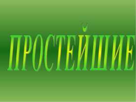 Простейшие