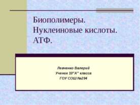 Биополимеры. Нуклеиновые кислоты. АТФ
