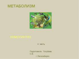 Хемосинтез