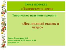 Экосистемы леса