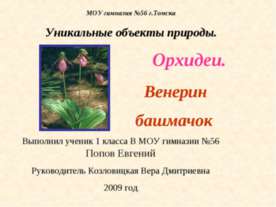 Орхидеи. Венерин башмачок