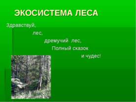 Экосистема леса