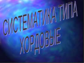 Систематика типа хордовые