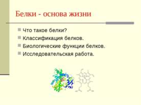 Белки - основа жизни