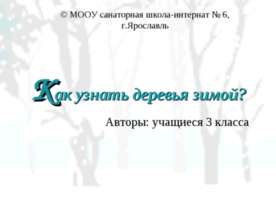 Как узнать деревья зимой?