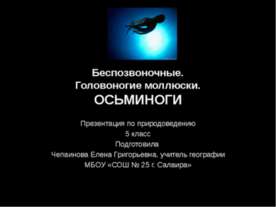 Беспозвоночные. Головоногие моллюски. Осьминоги